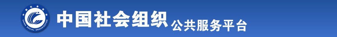 91操bi全国社会组织信息查询